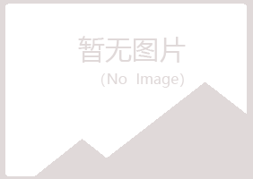 安阳山柏运动有限公司